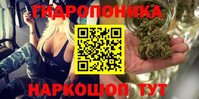 MDMA Premium VHQ Кандалакша