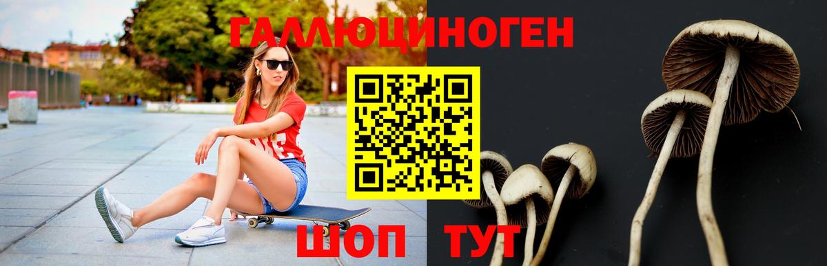 Псилоцибиновые грибы ЛСД  Псилоцибиновые грибы мухоморы  Вход с VPN  Горно-Алтайск 